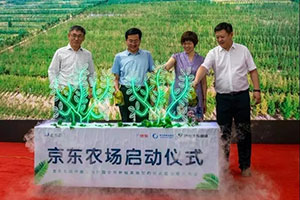 开元网页登录